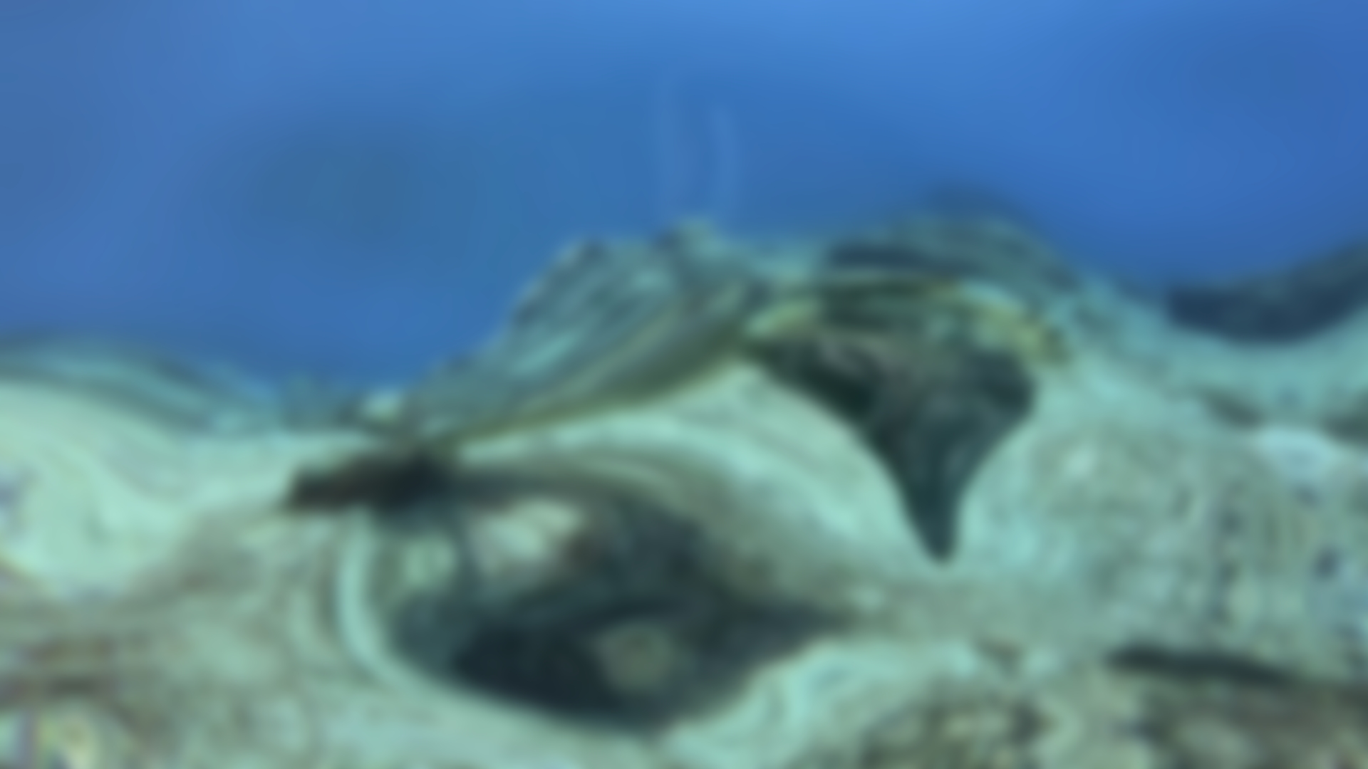 Dream Sequence / Ripple Dissolve Effect Demo